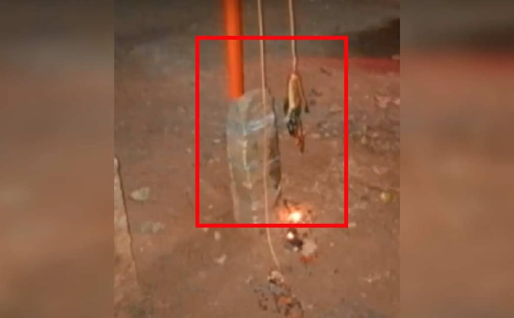 BJP flag set on fire in Tamil Nadu