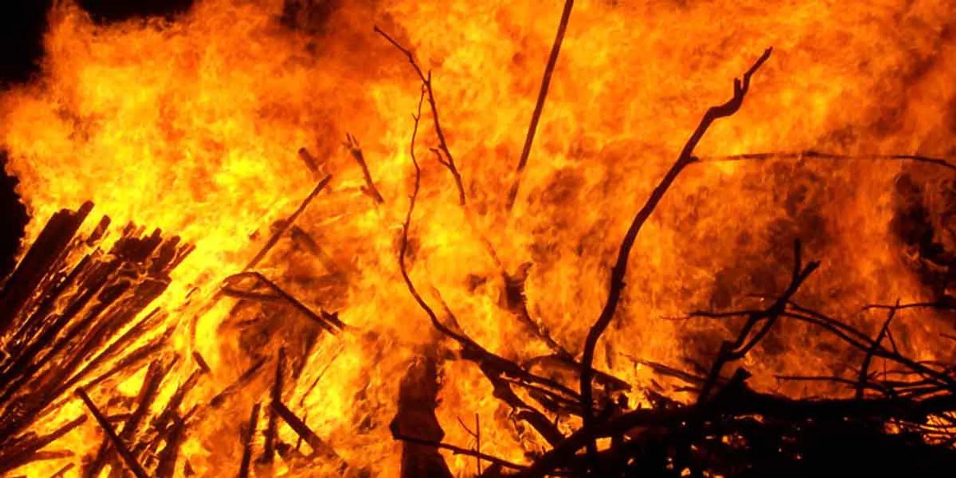 5 cows, 3 calves burnt to near Bhuvanagiri