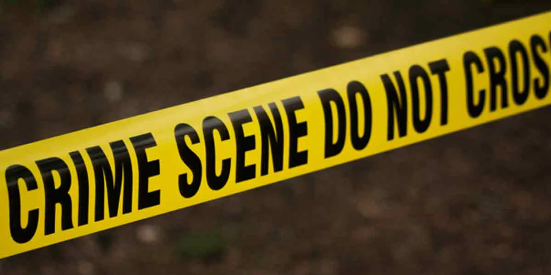 17 lakh loan; The son who arrested in his mother passed away case 