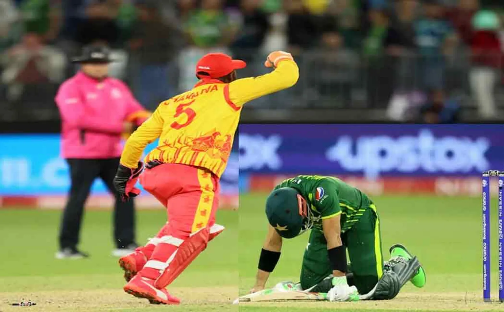 Zimbabwe beat Pakistan; Crazy World Cup win