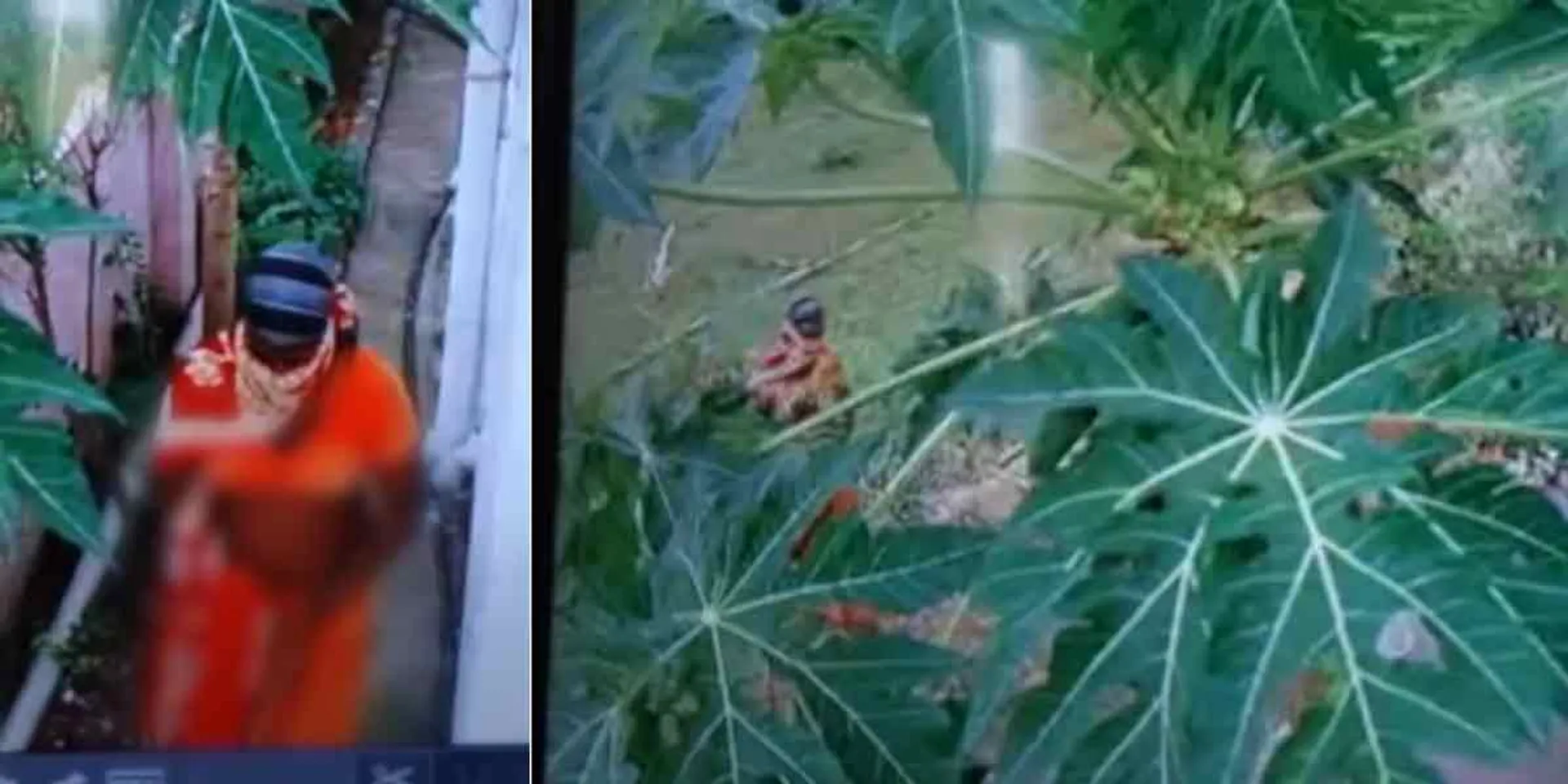 A person disguised as a woman and tried to steal from the house- Police investigated with the help of CCTV footage