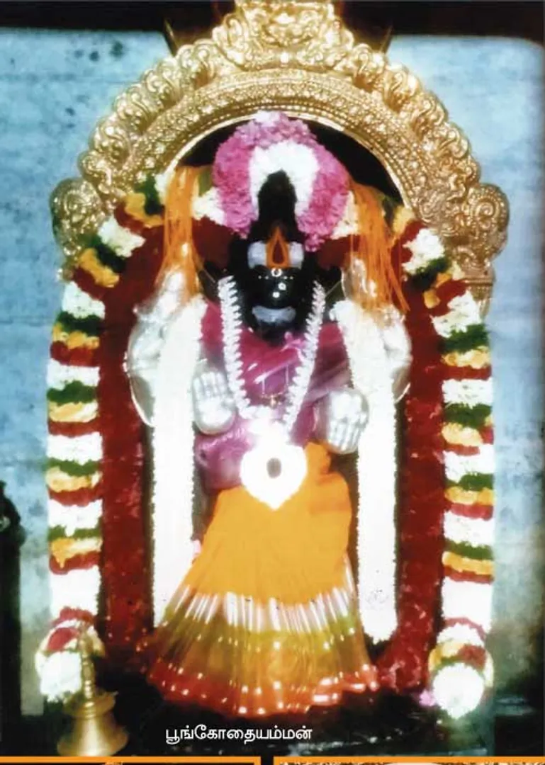 /idhalgal/om/pererarul-buri-othakakal-mandapam-putitangkandisar-coimbatore-arumugam