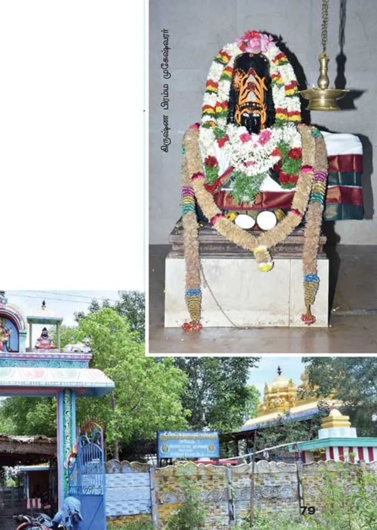 /idhalgal/om/krishna-brahma-mukeshwar-who-performs-miracles-vijaya-kannan