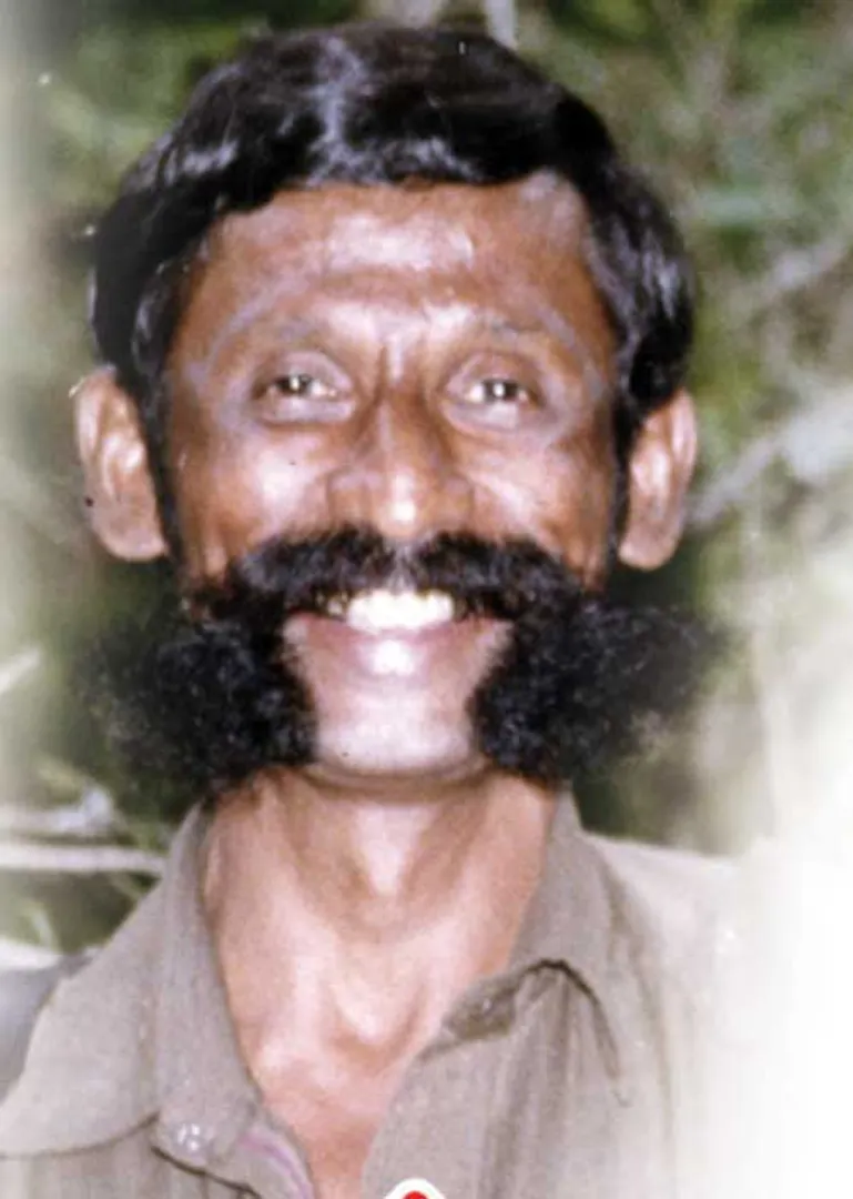v