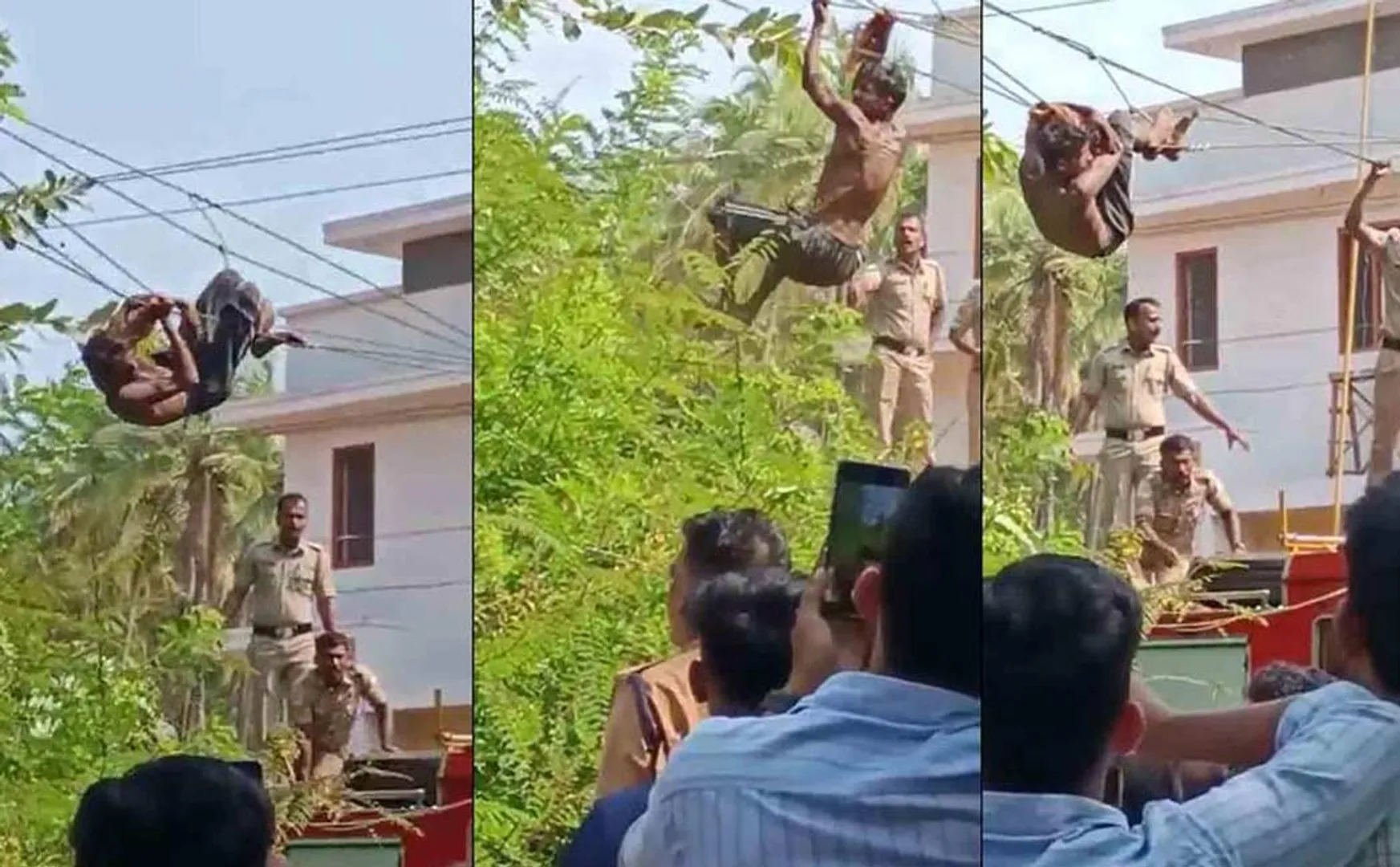 thief who climbed power line without getting caught police
