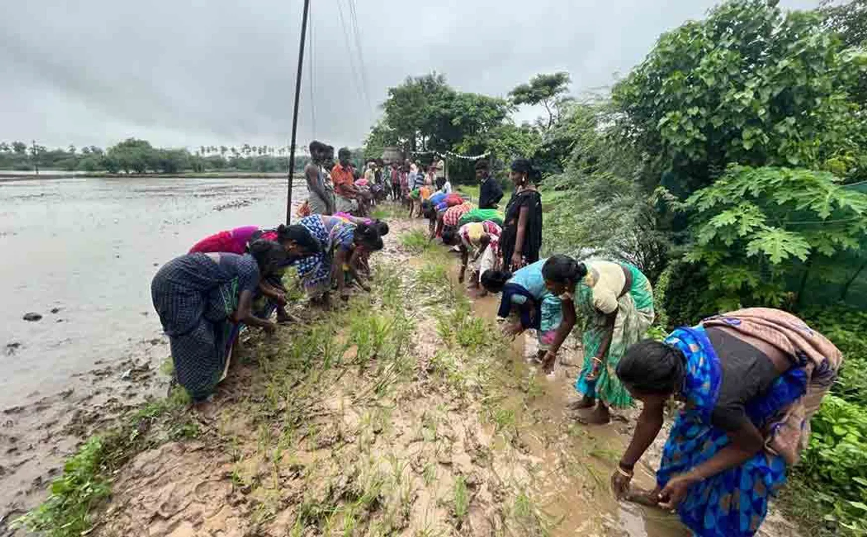 People who have been fighting for two kilometers of road for 35 years!