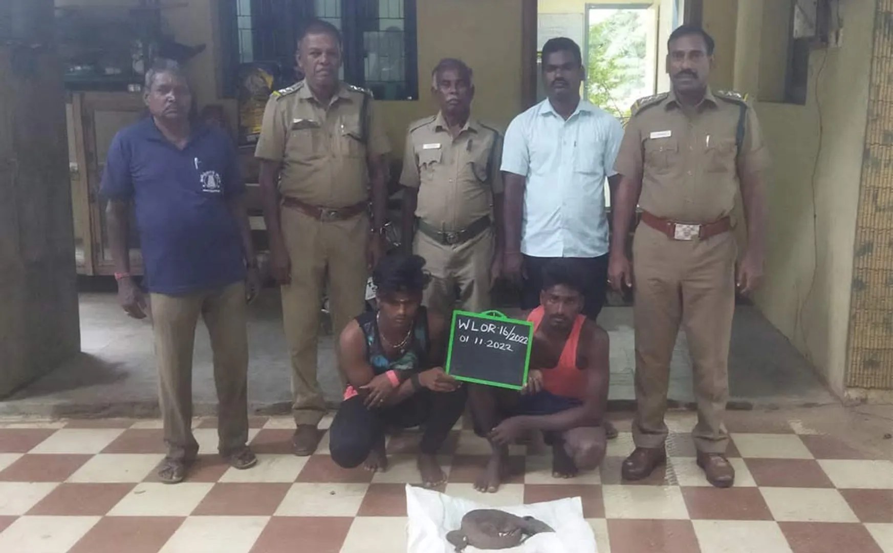 Two arrested for hunting iguana trichy