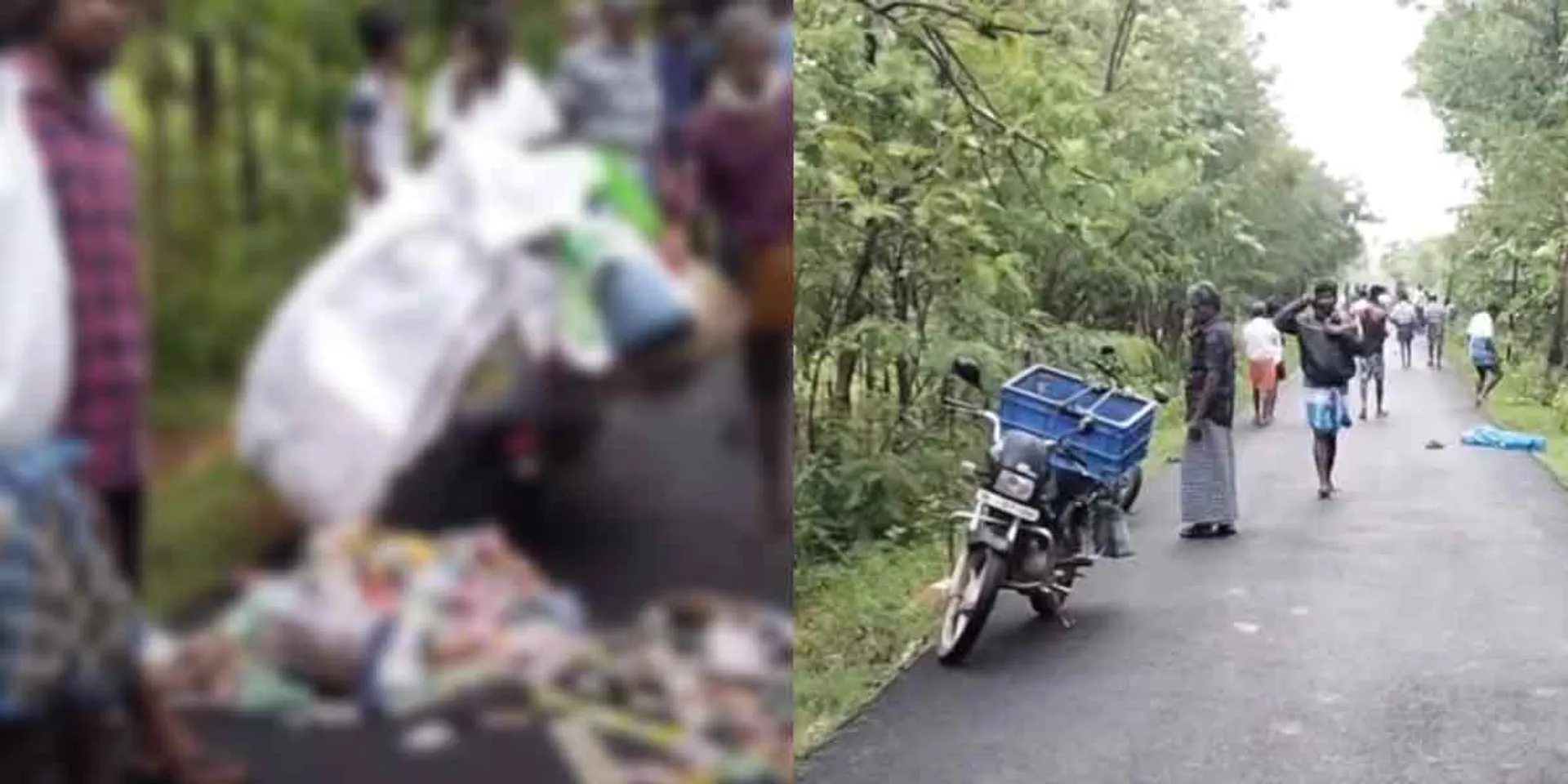  A single bear attacked 3 people including a spice trader