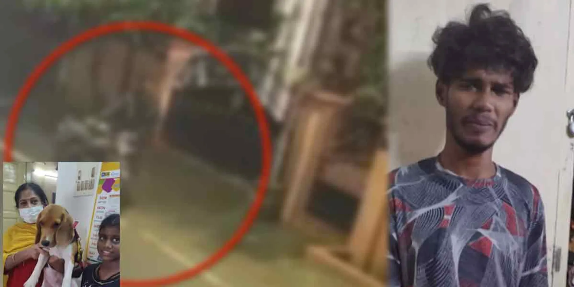 Serial vehicle theft complaint... The young man was caught stealing a dog for his girlfriend