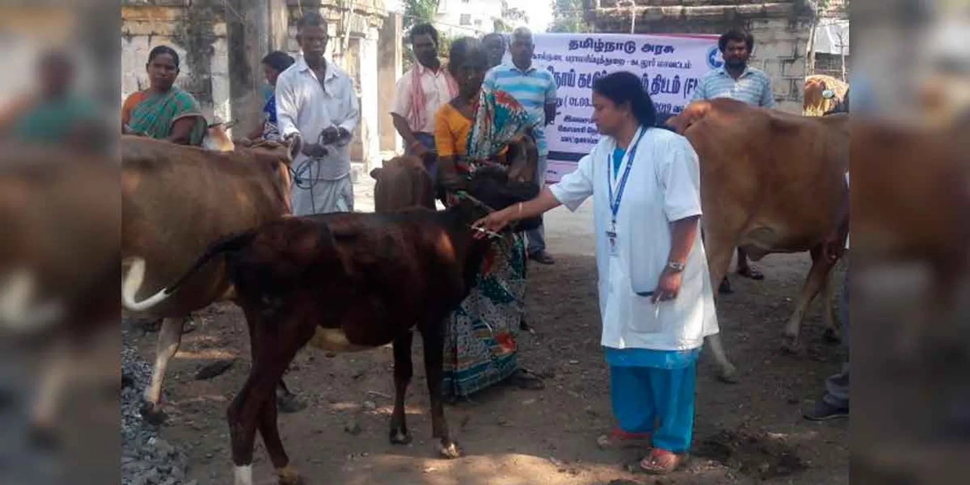 Exam Date for 731 Veterinary Doctor Posts-TNPSC Notification