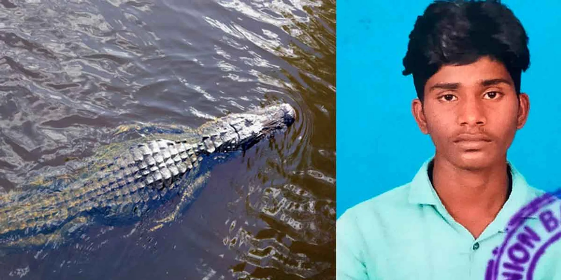 crocodile bitten ITI student by a near Chidambaram
