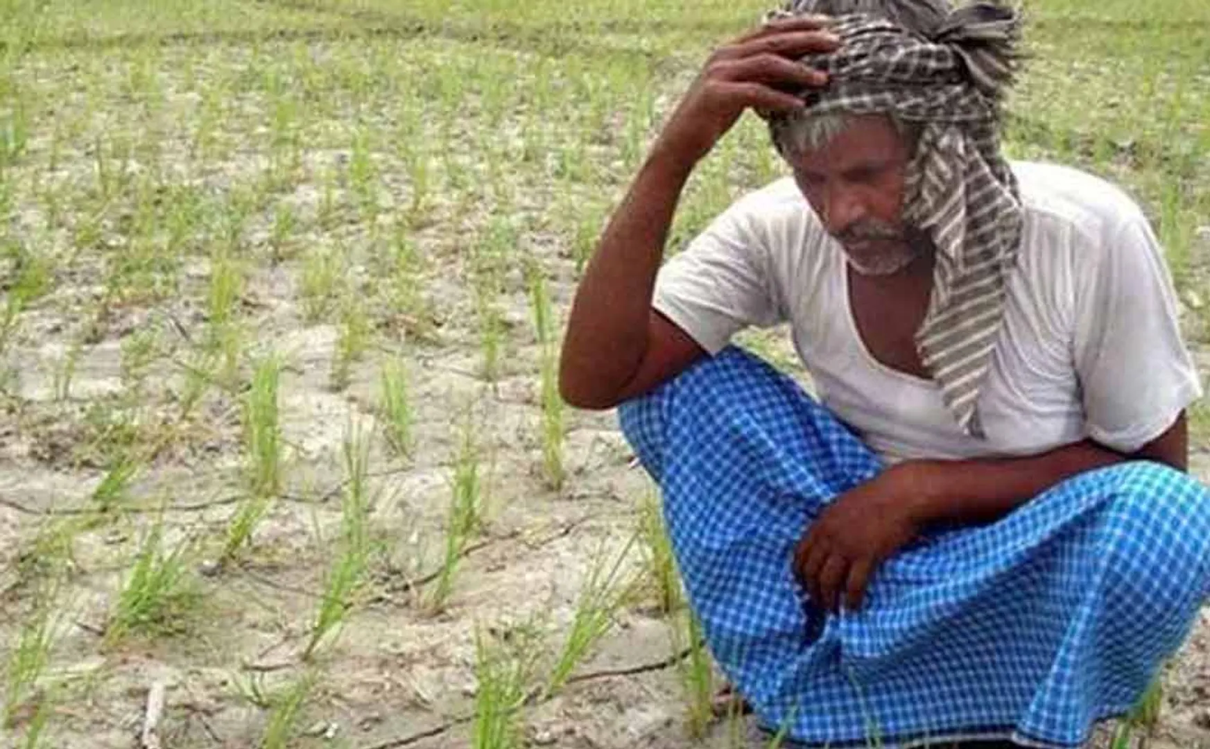 "It is a song to build an undeveloped house; They are basically stealing" - lamented farmers