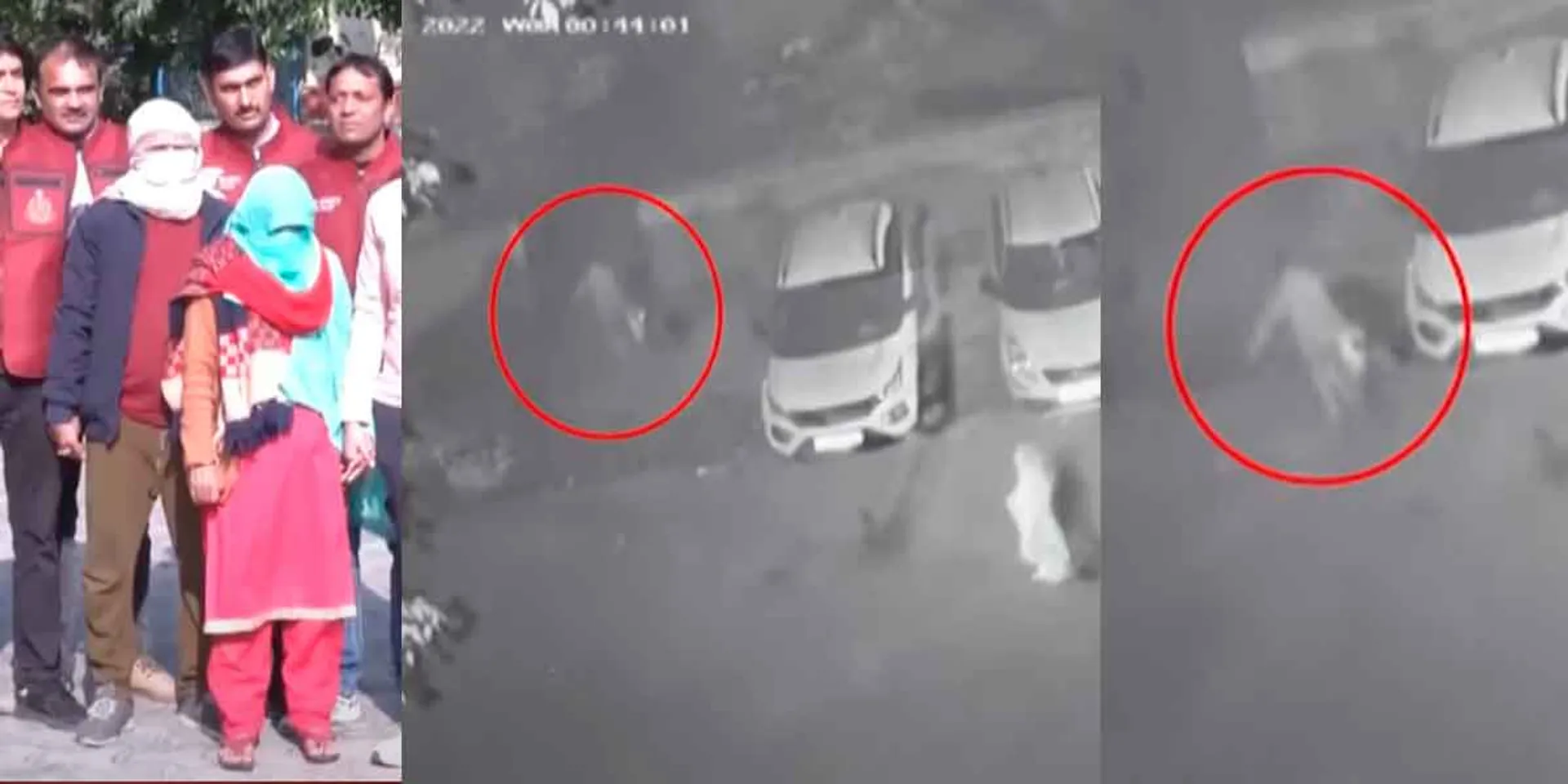 Das who did evil; Poonam, cut into 22 pieces and placed on a fridge