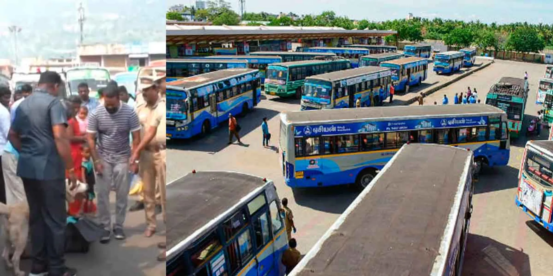 'Special buses to Thiruvannamalai'- Minister Sivasankaran informs