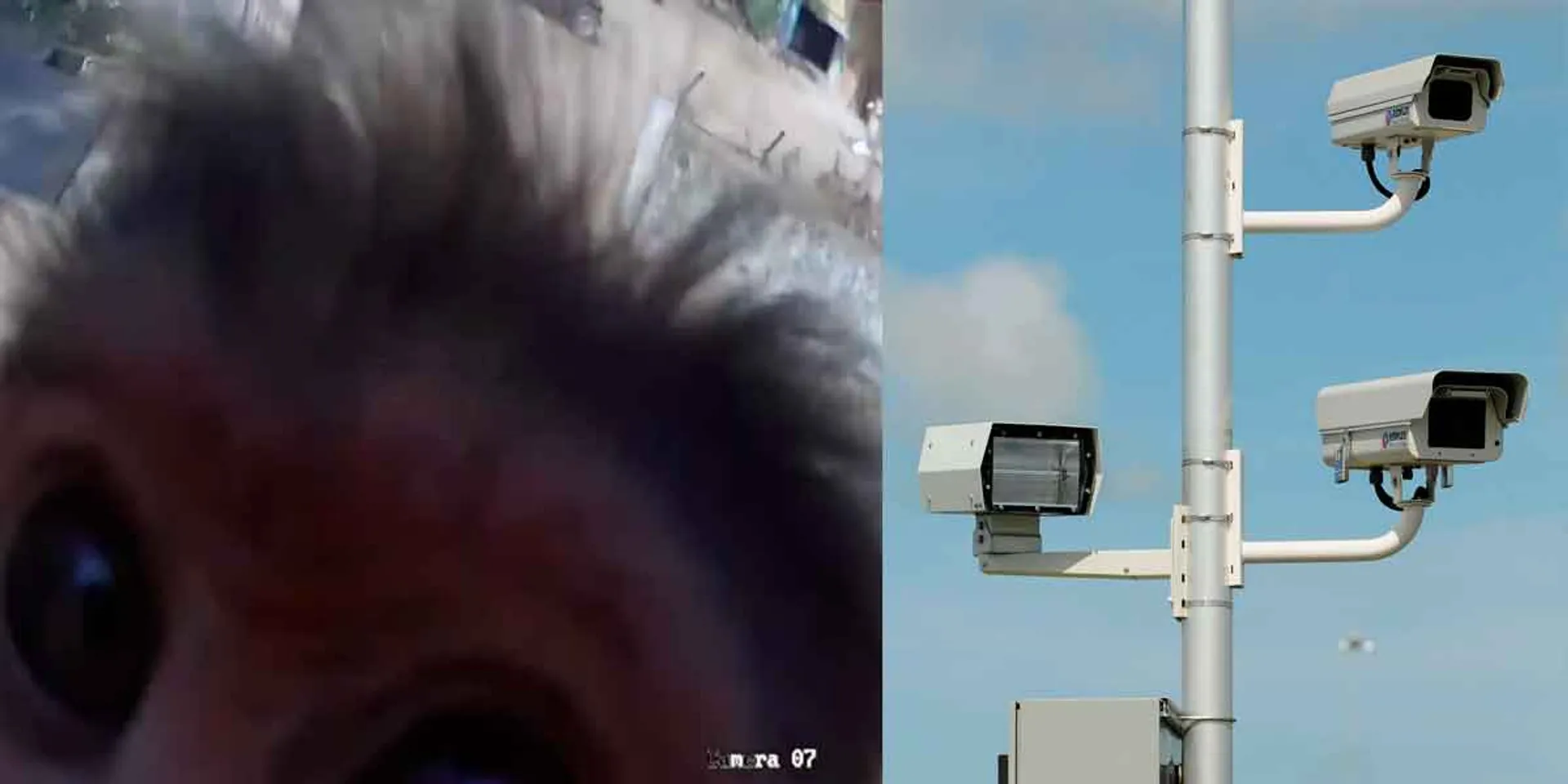 Monkeys target and steal CCTV cameras
