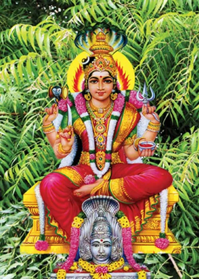 /idhalgal/balajothidam/27-star-plants-add-many-benefits-melmaruvathur-s-kalaivani