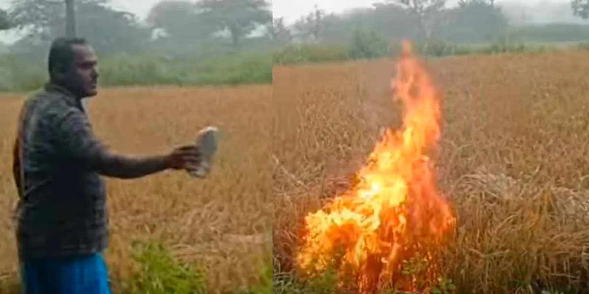 'No compensation yet'-Farmer who set fire to 3 acres of paddy field
