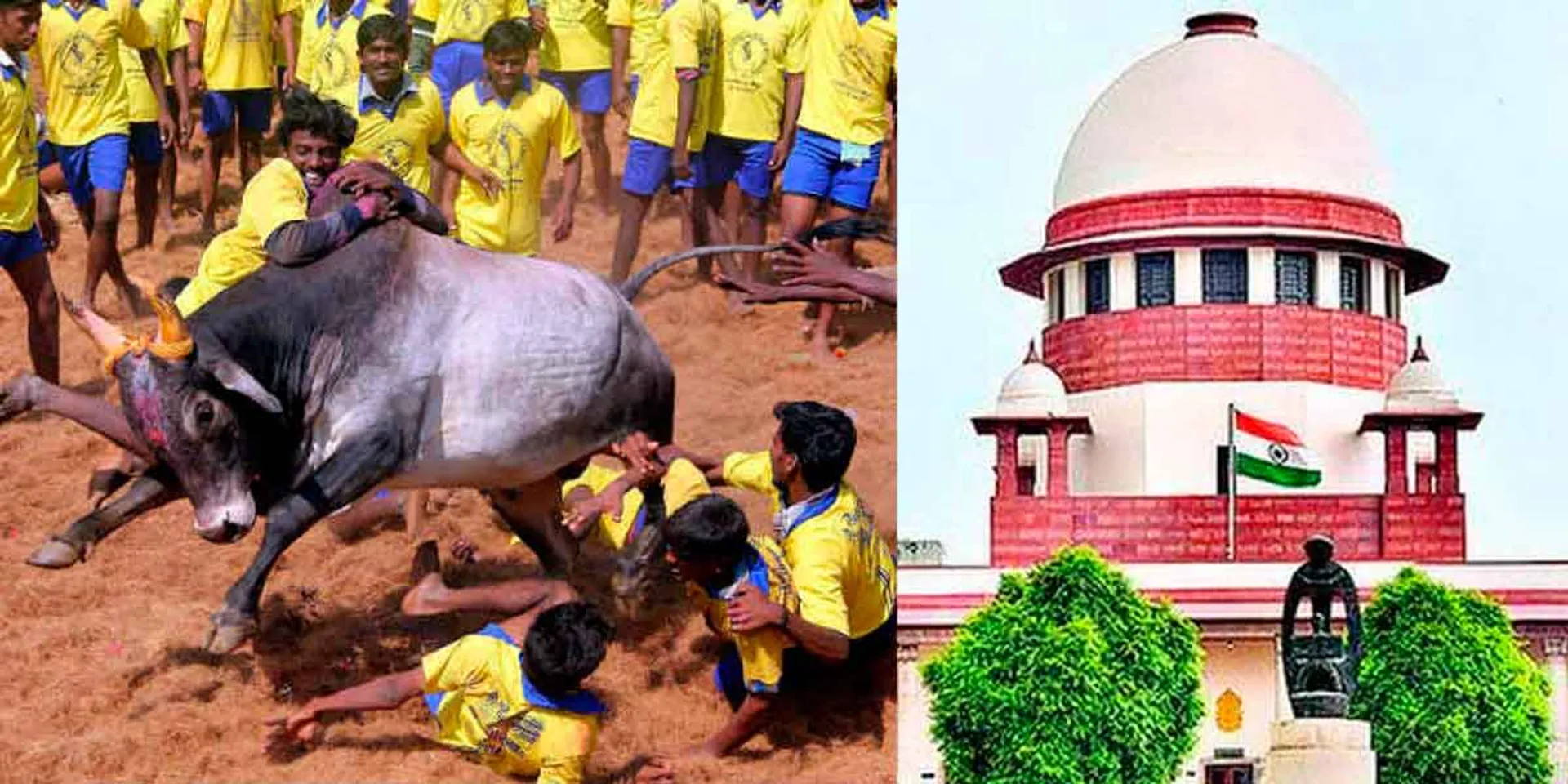  'Come once and see Jallikattu' - Tamil Nadu government has invited the judges