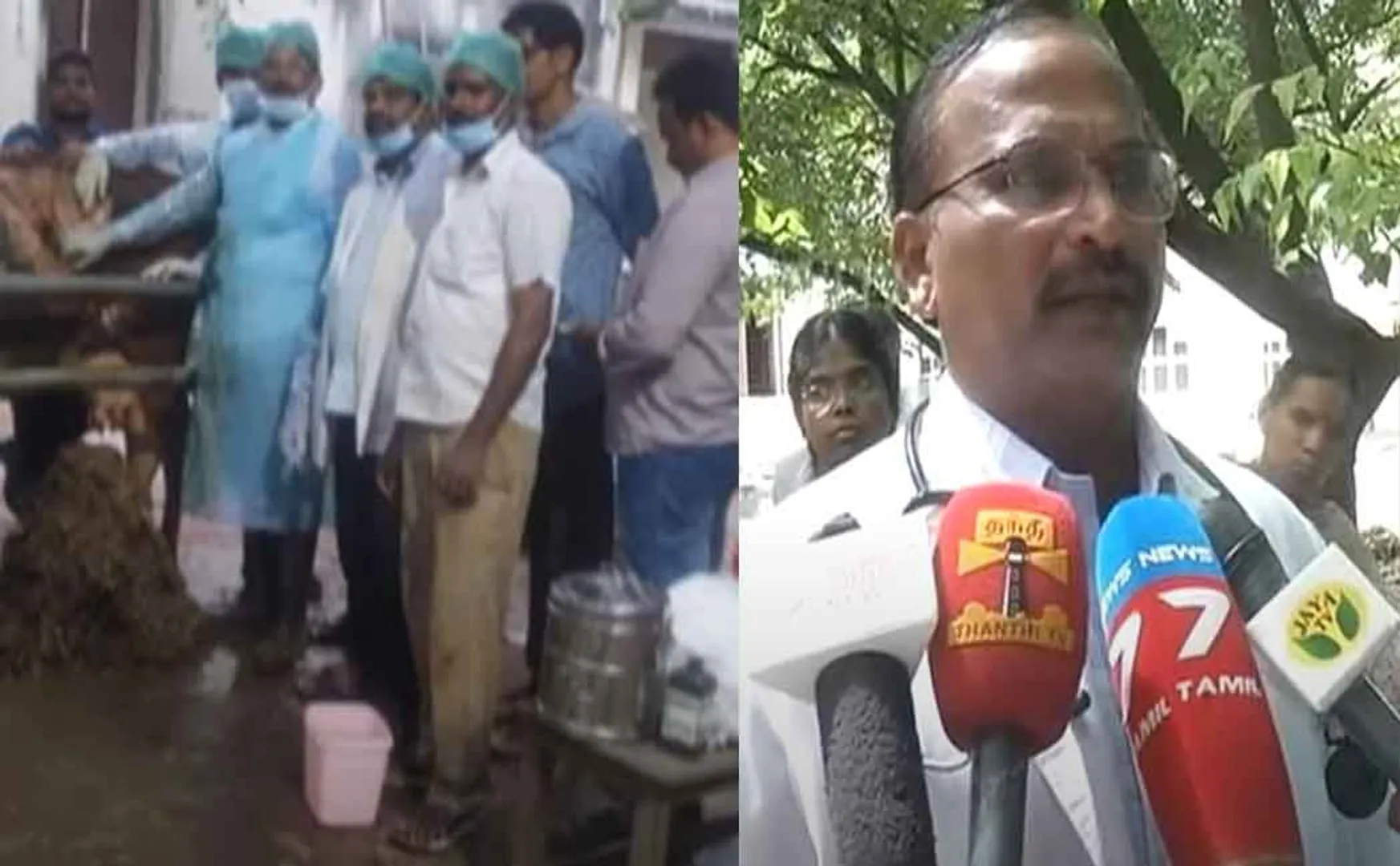 65 kg plastic in stomach of cow in Madurai