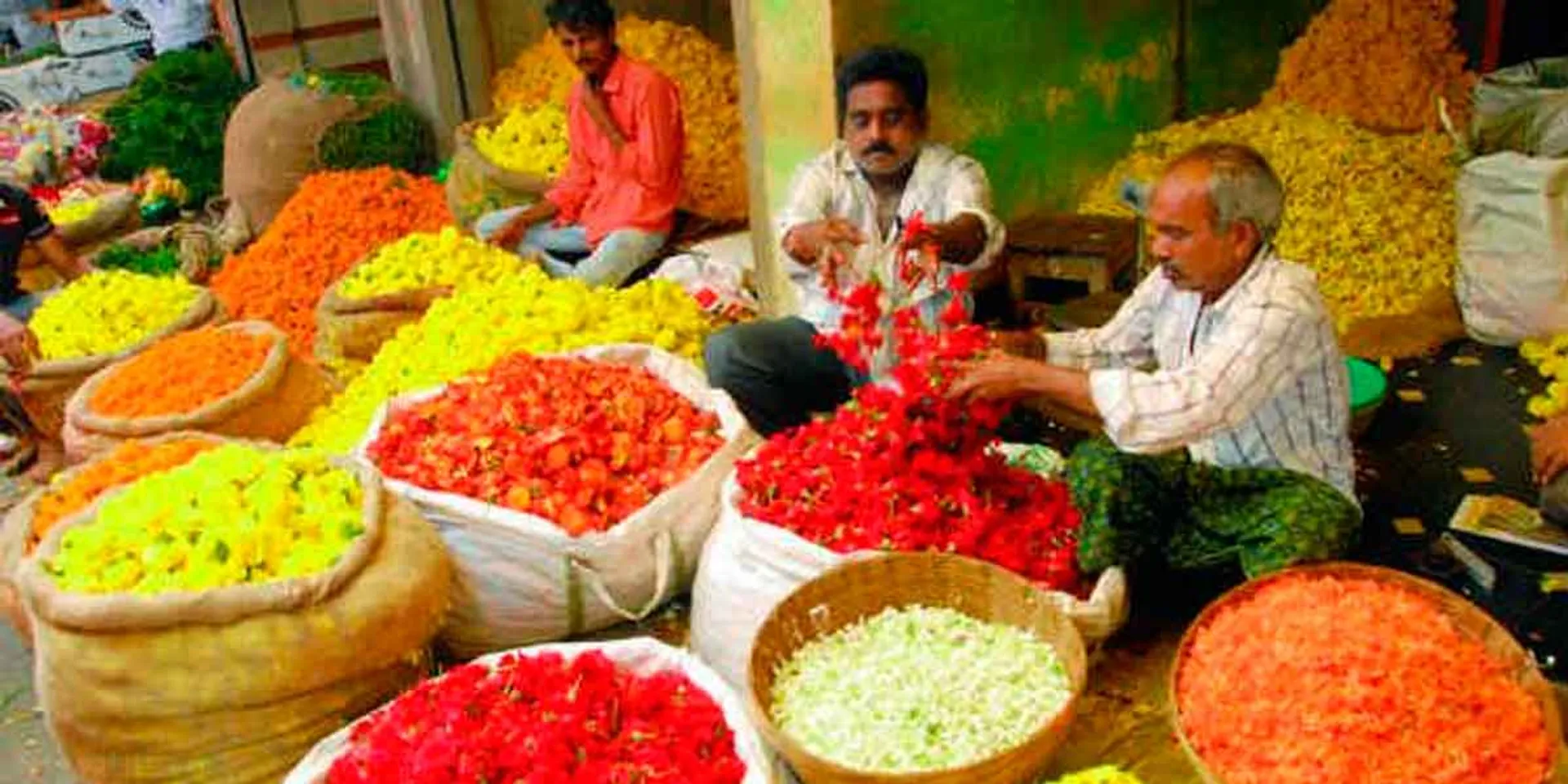 In contrast, high prices of flowers