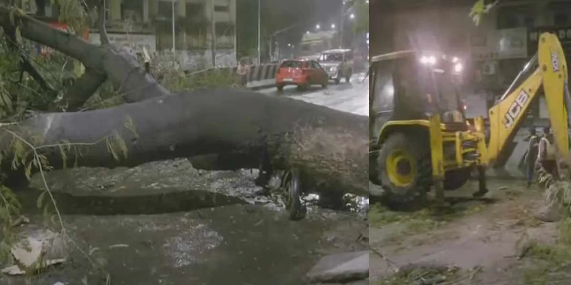Mantus leap; Trees fell at 60 places in Chennai