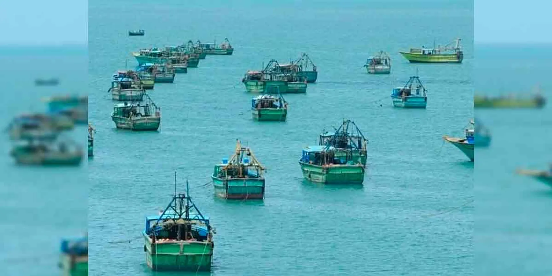 Fishermen who went to sea today after a week