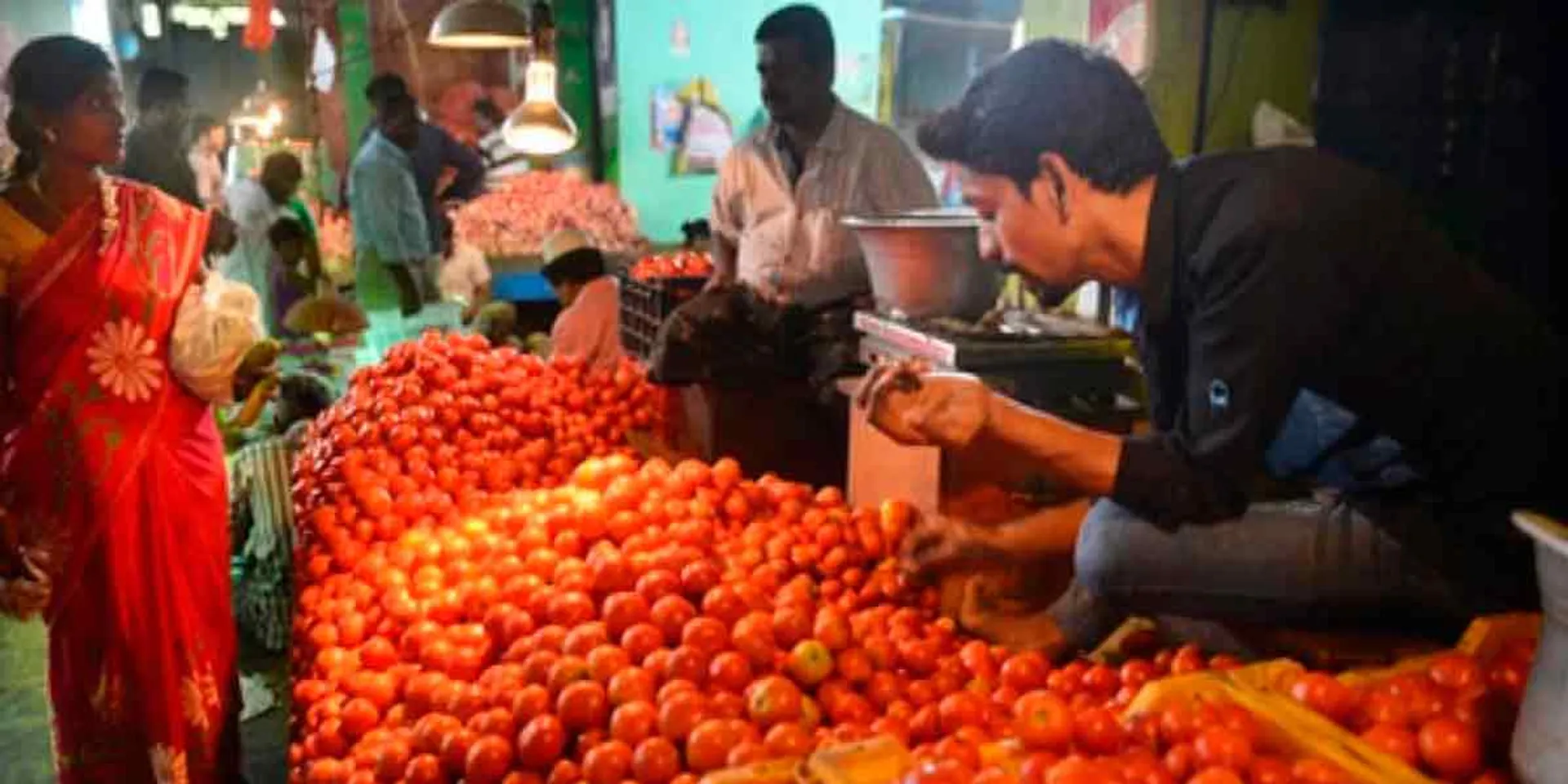 cyclone effect;Pickled tomato price