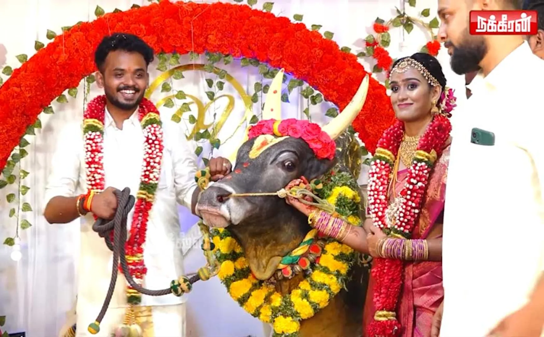 brother gave a jallikattu bull as a gift for his younger sister's wedding