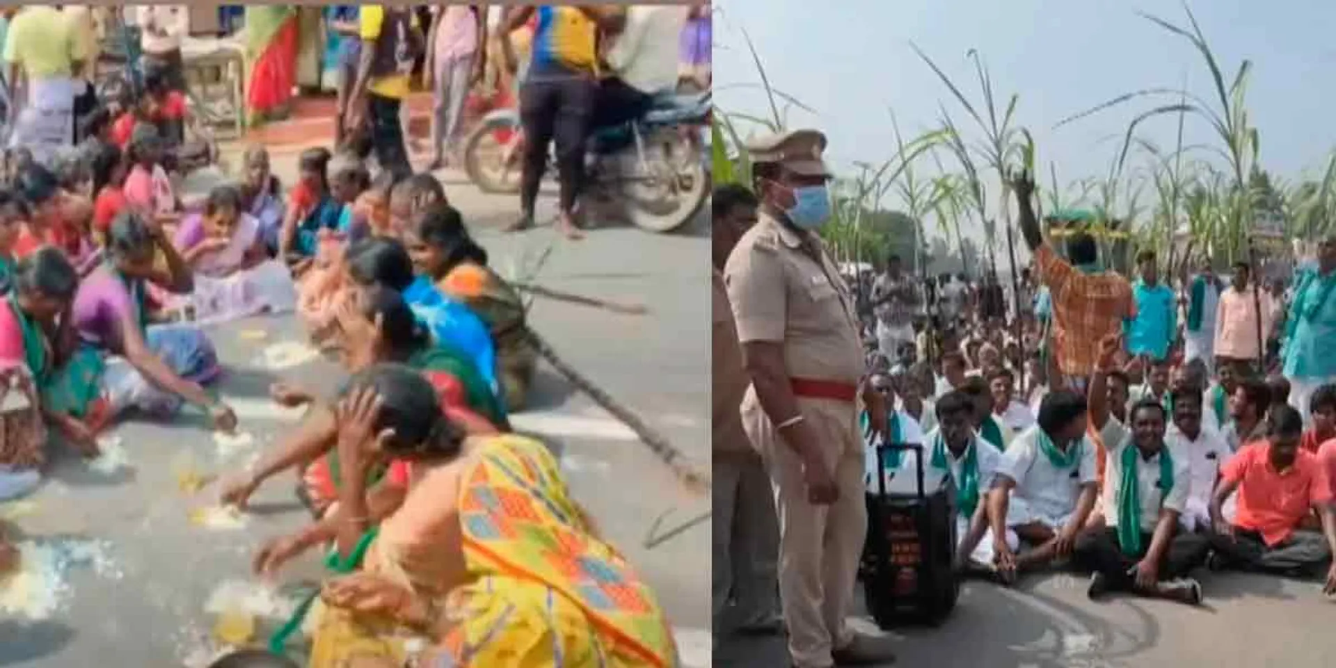  Sugarcane not produced; Case filed against protesting farmers