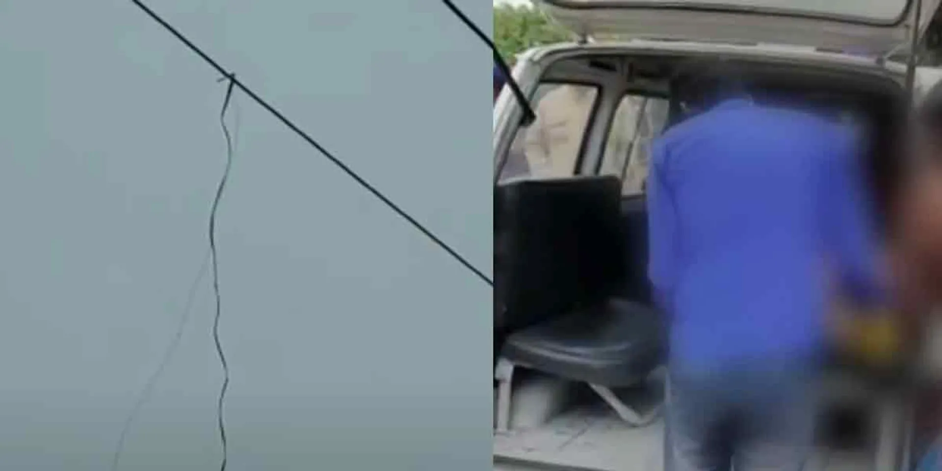  Pig hunting after stealing electricity from high voltage wire