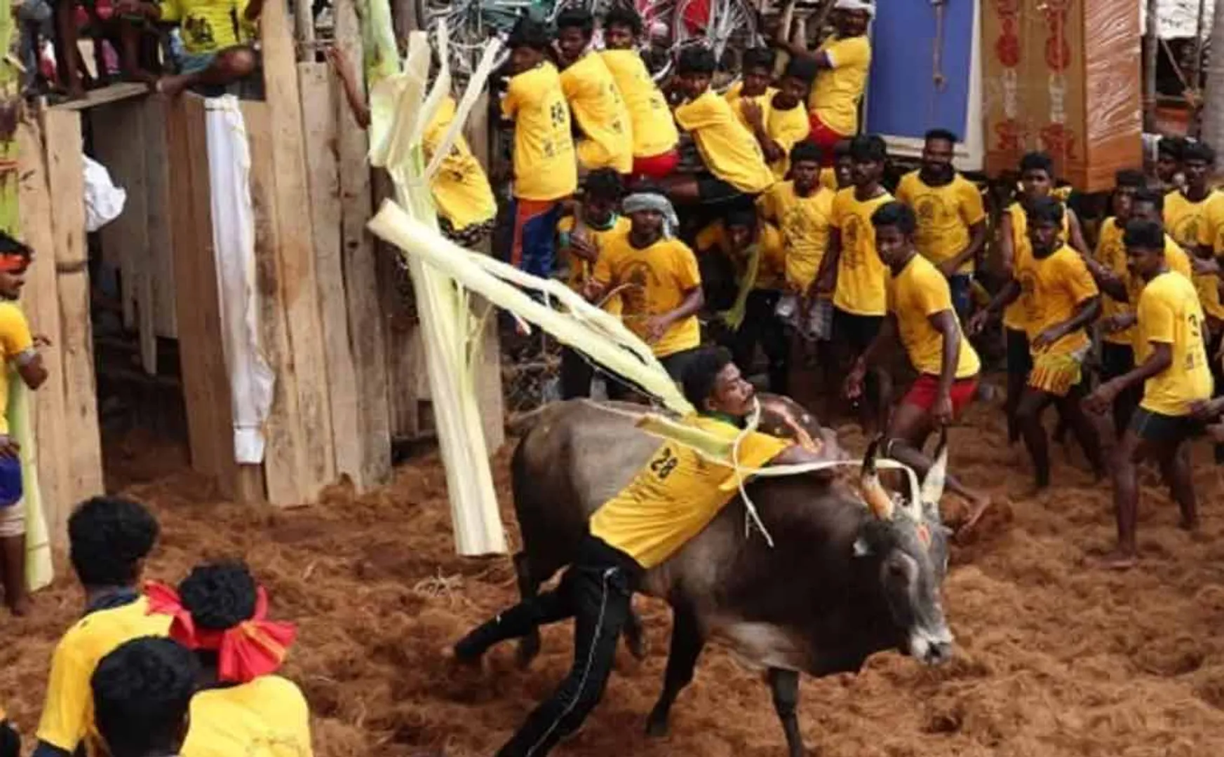 Concrete building for jallikattu visitor intensive work