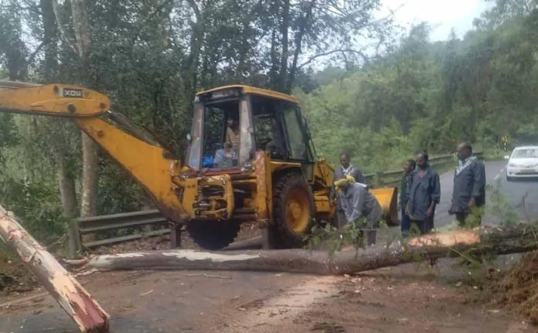 Kodaikanal work clearingtrees fell road due  continuous rain  intensive