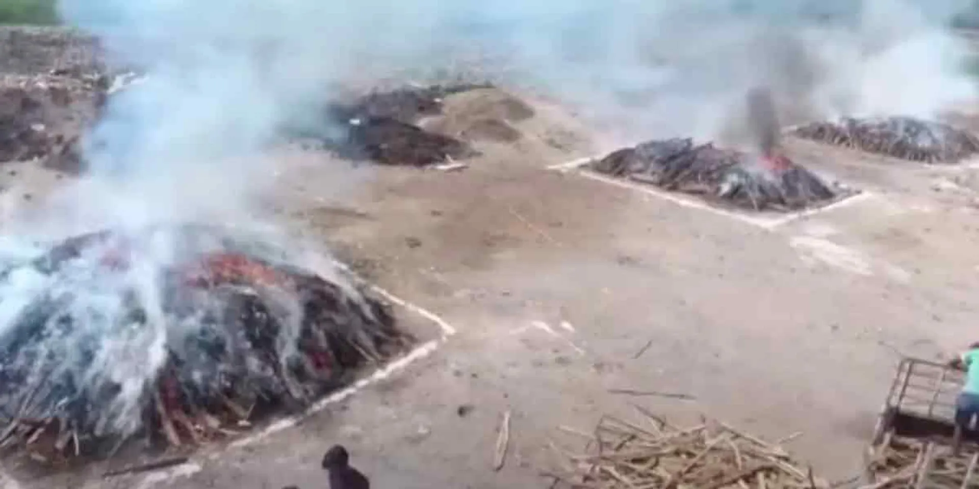 22 tons of ganja destroyed by fire
