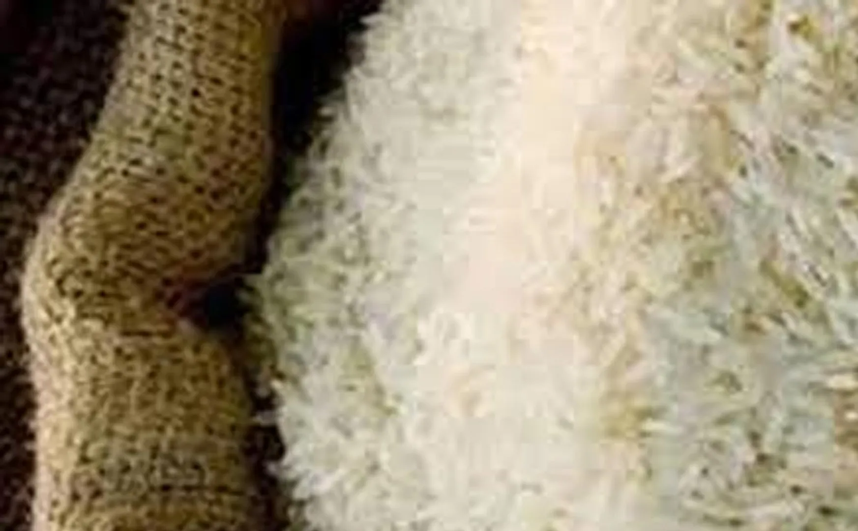 3 tons of ration rice and flour stored at home Salem seized