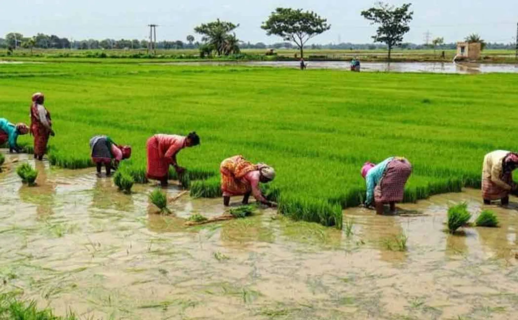 agriculture department new guidance to fertilizer centre 
