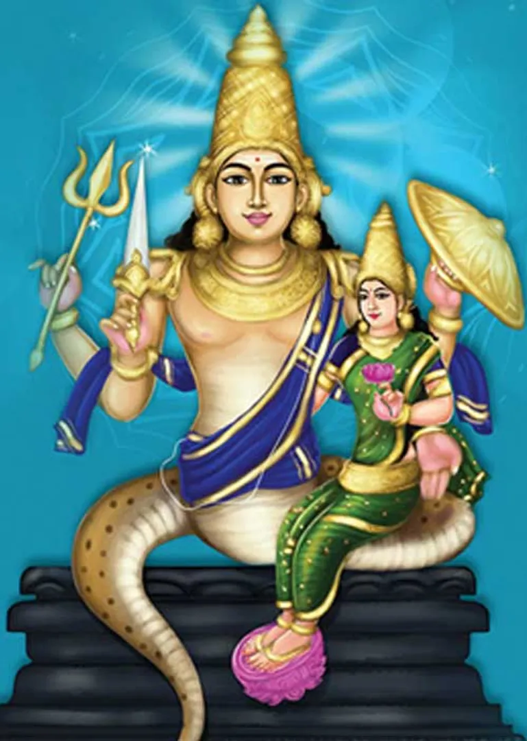 /idhalgal/balajothidam/raghu-12-bhavas-sagittarius