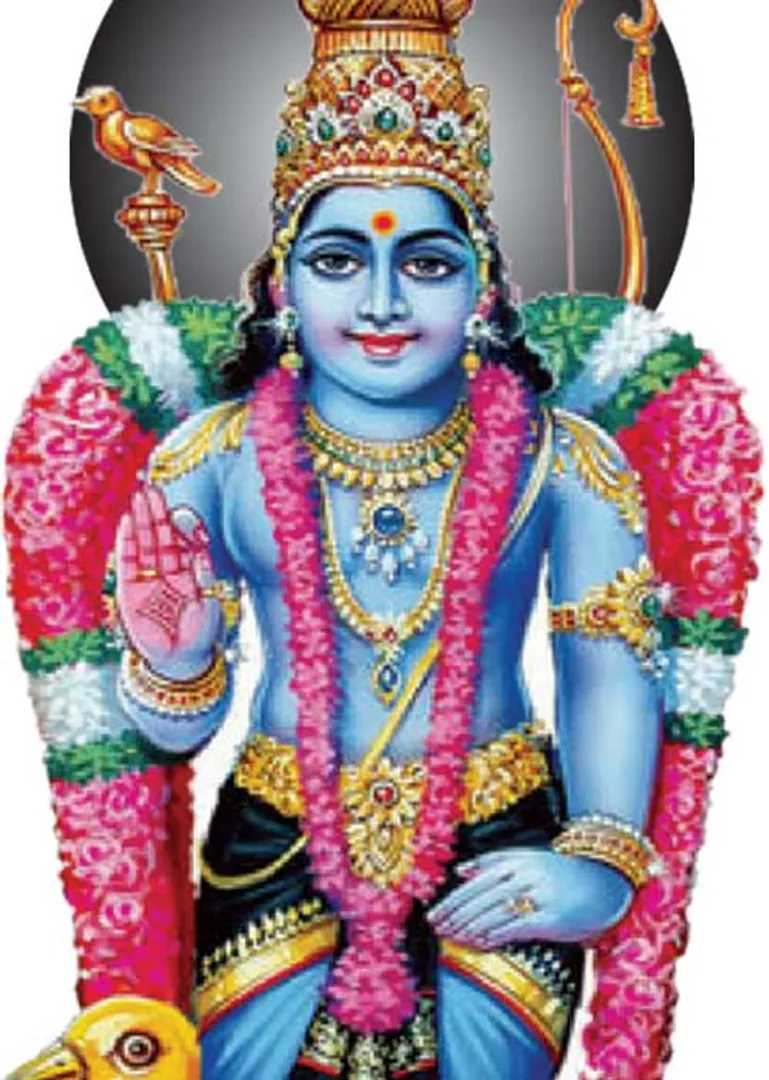 /idhalgal/balajothidam/saturn-transit-benefits-aquarius-17012023-thirukovilur-paranidharan-continued