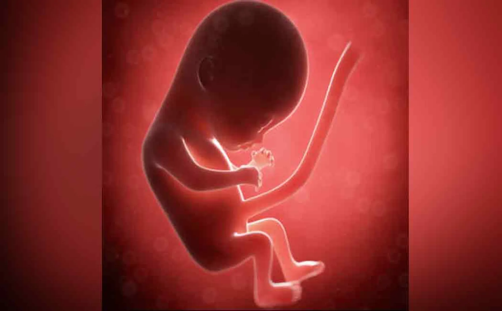 The shock of a 3-month-old fetus lying on the road, which should have been in the mother's womb
