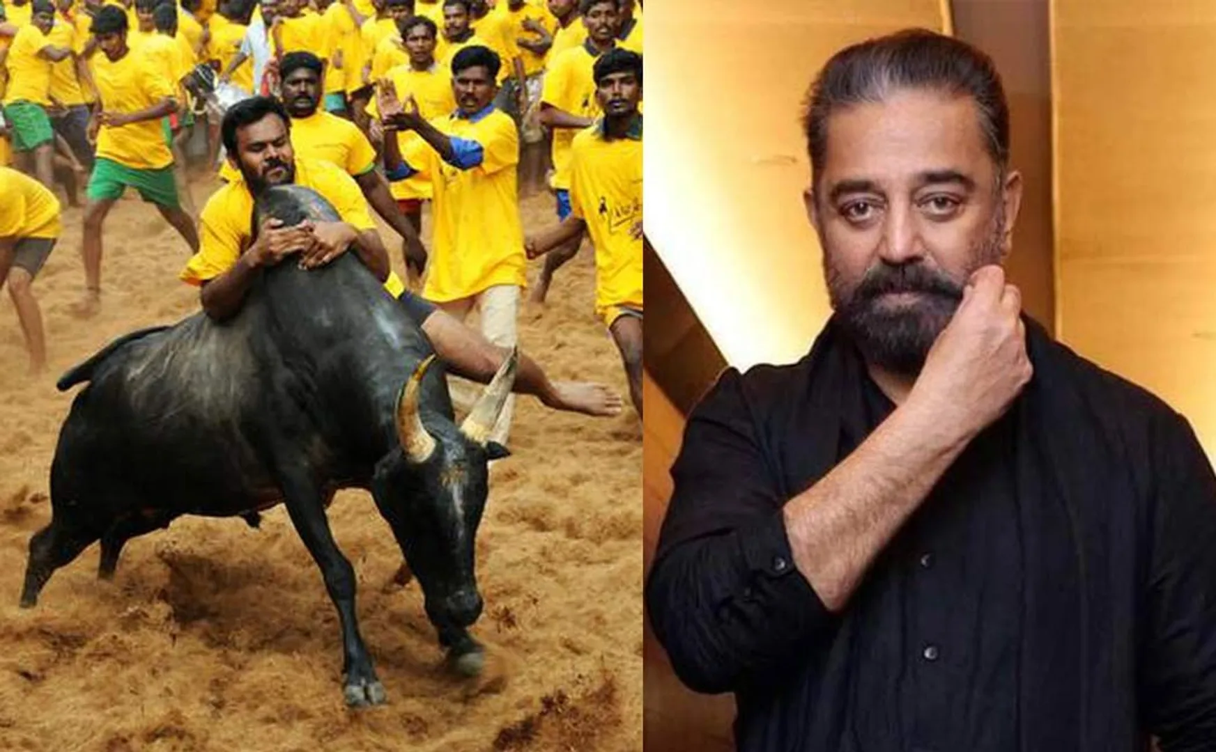 Kamal has expressed his desire to conduct Jallikattu in Chennai
