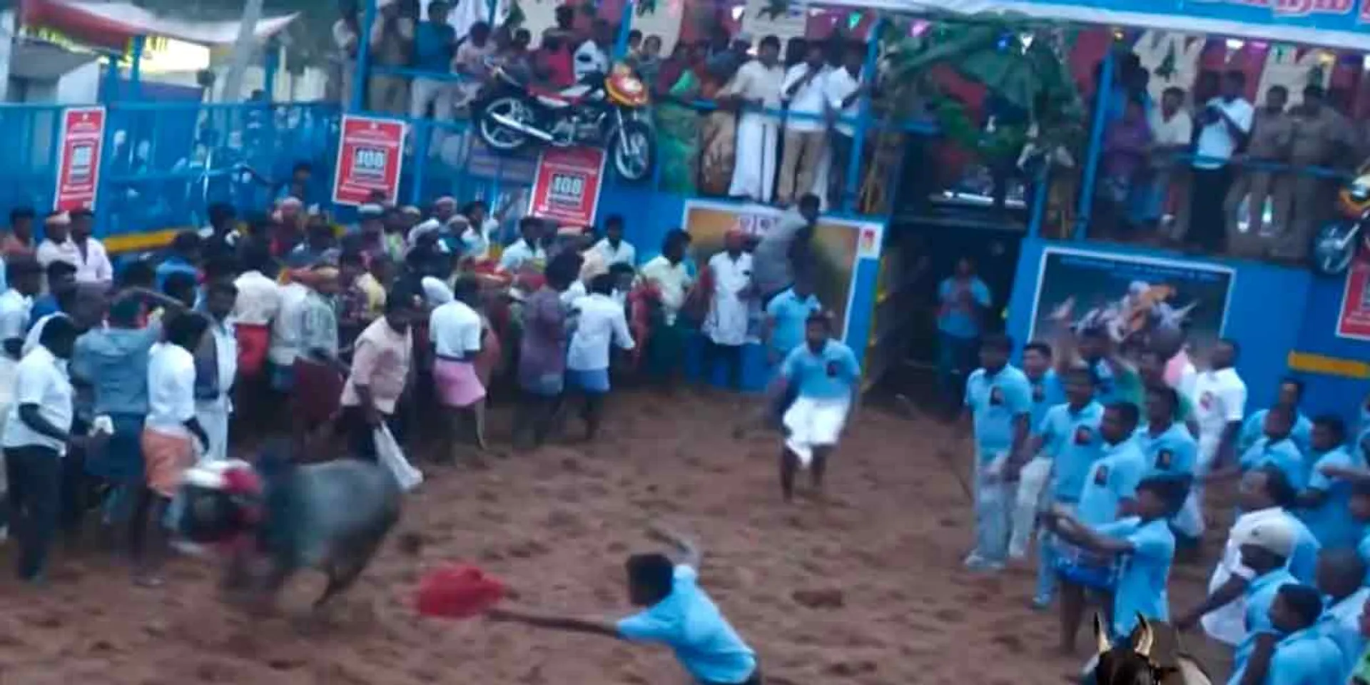  First jallikattu of the year; pudukottai ​​in excitement