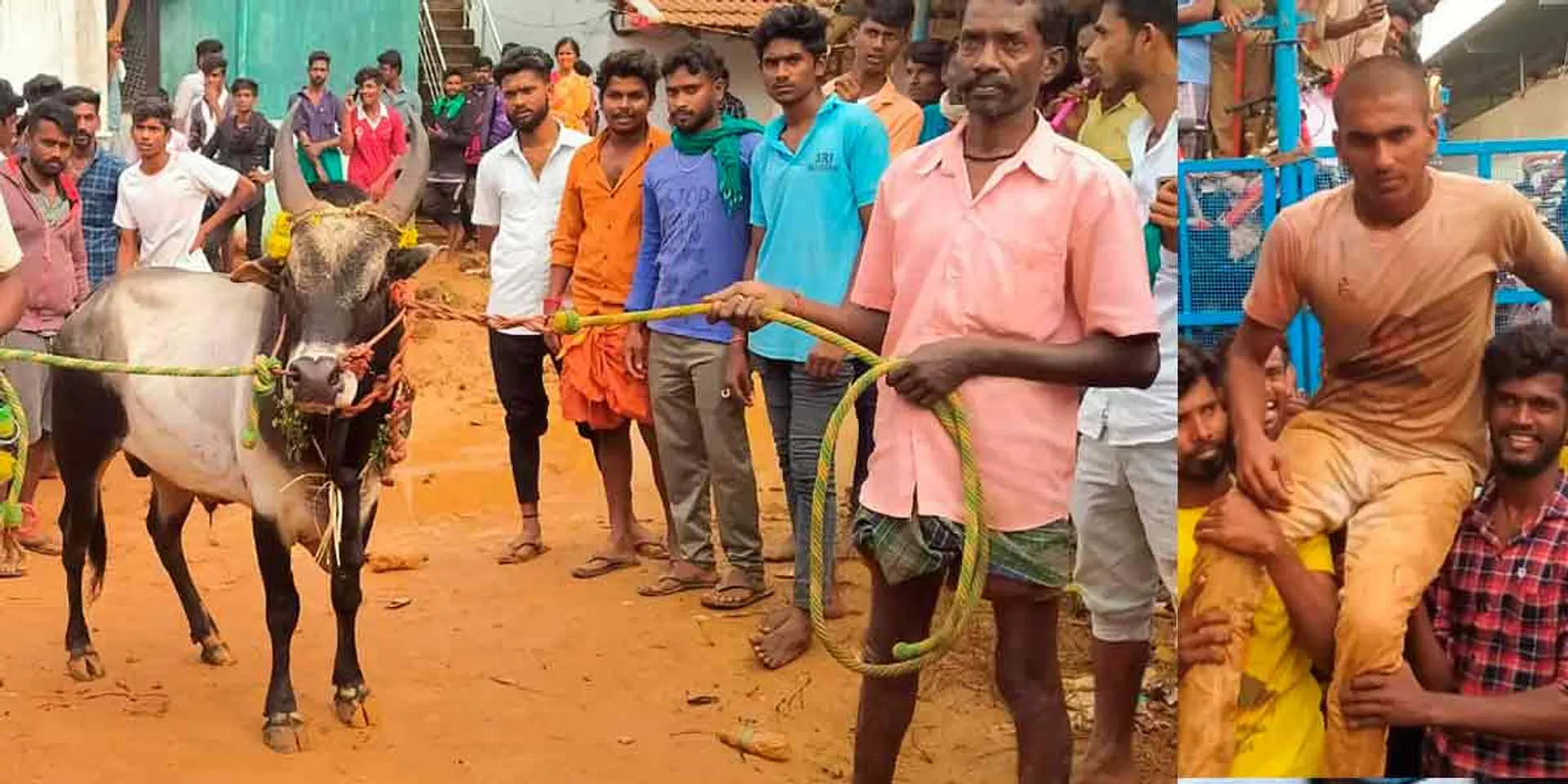 Tamil Nadu's first Jallikattu... First prize for the player who tied up 17 bulls