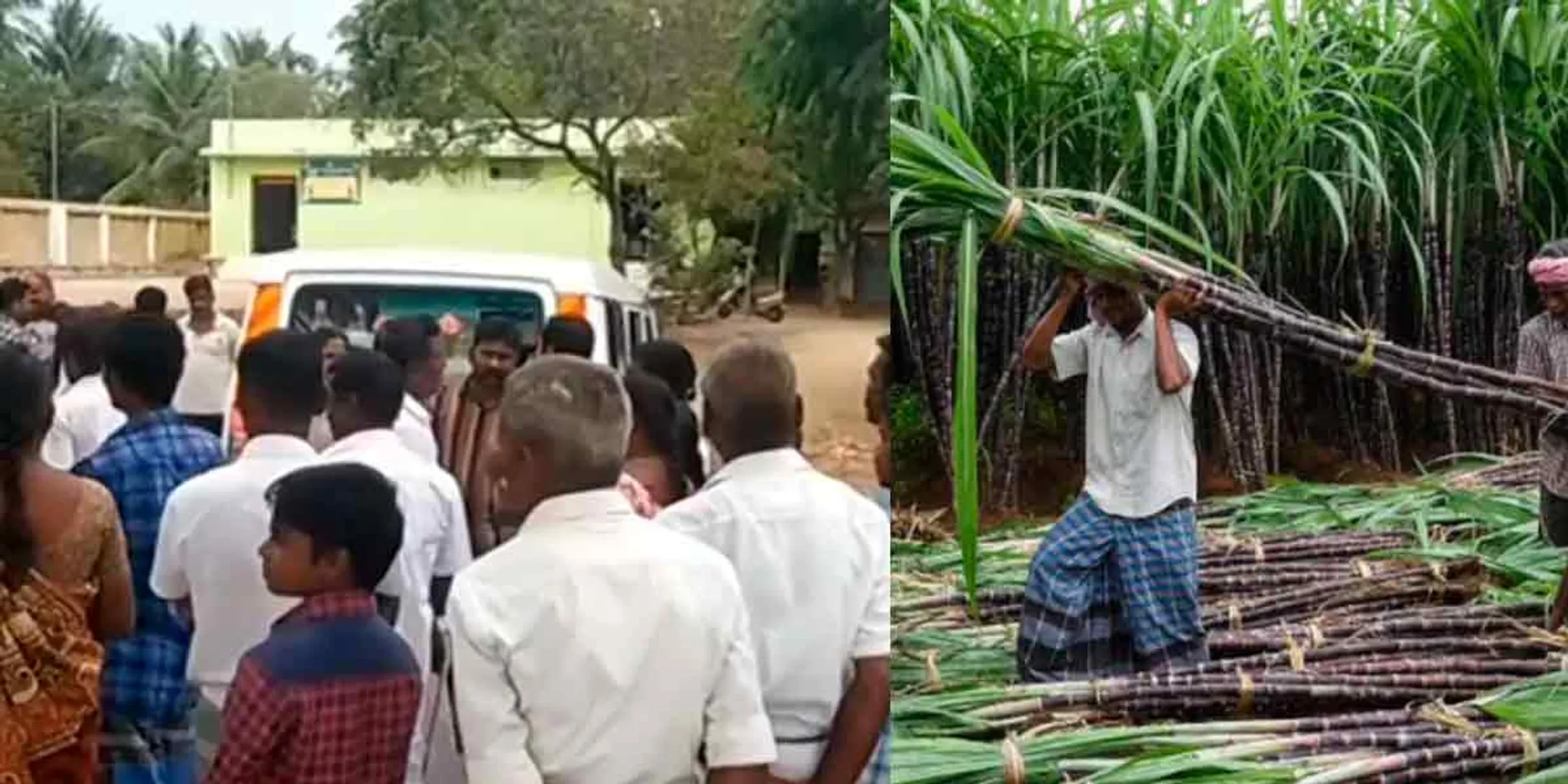  Officials do not come forward to purchase sugarcane; farmers lay siege