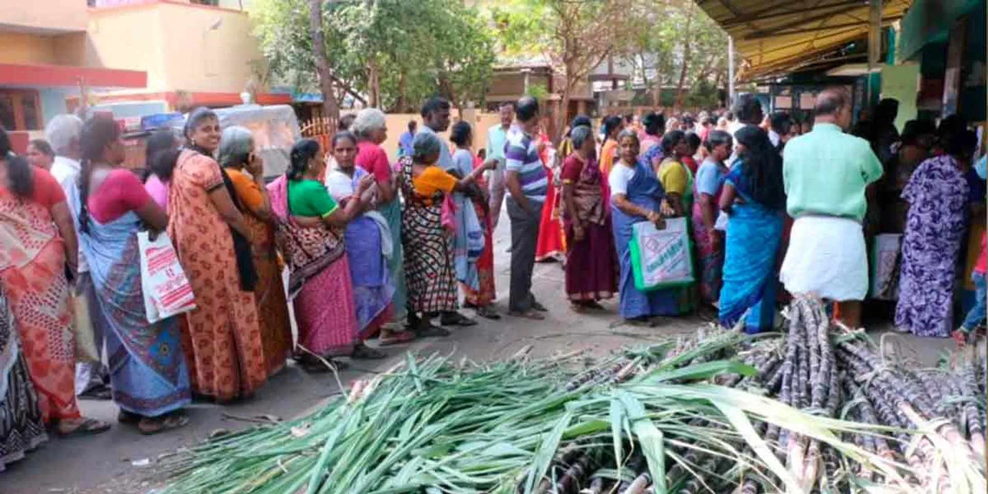 'Canes should be wrapped in a wet sack'-instruction to ration shop staff
