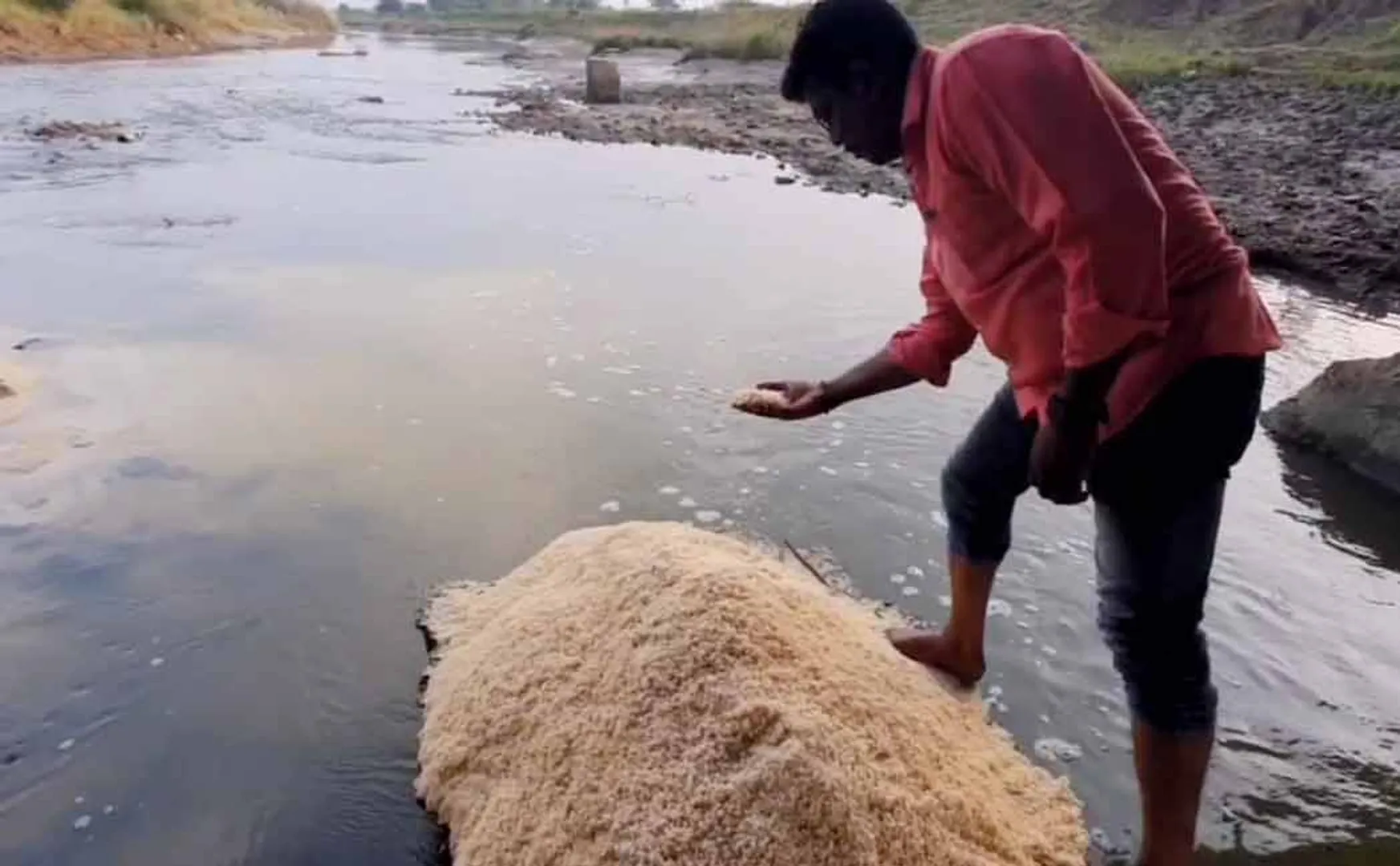 ration rice floating in water; Dazzling farmers