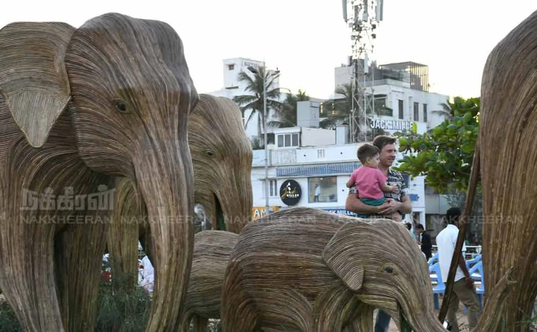 elephant pongal and exhibition held in besant nagar beach chennai 