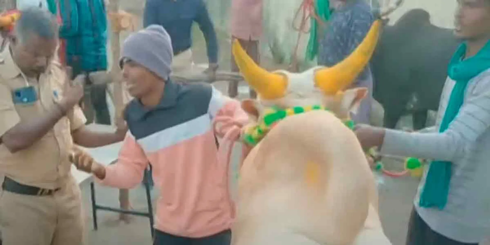 "Sir, untie my bull from the jallikattu sir" - the boy cried in tears