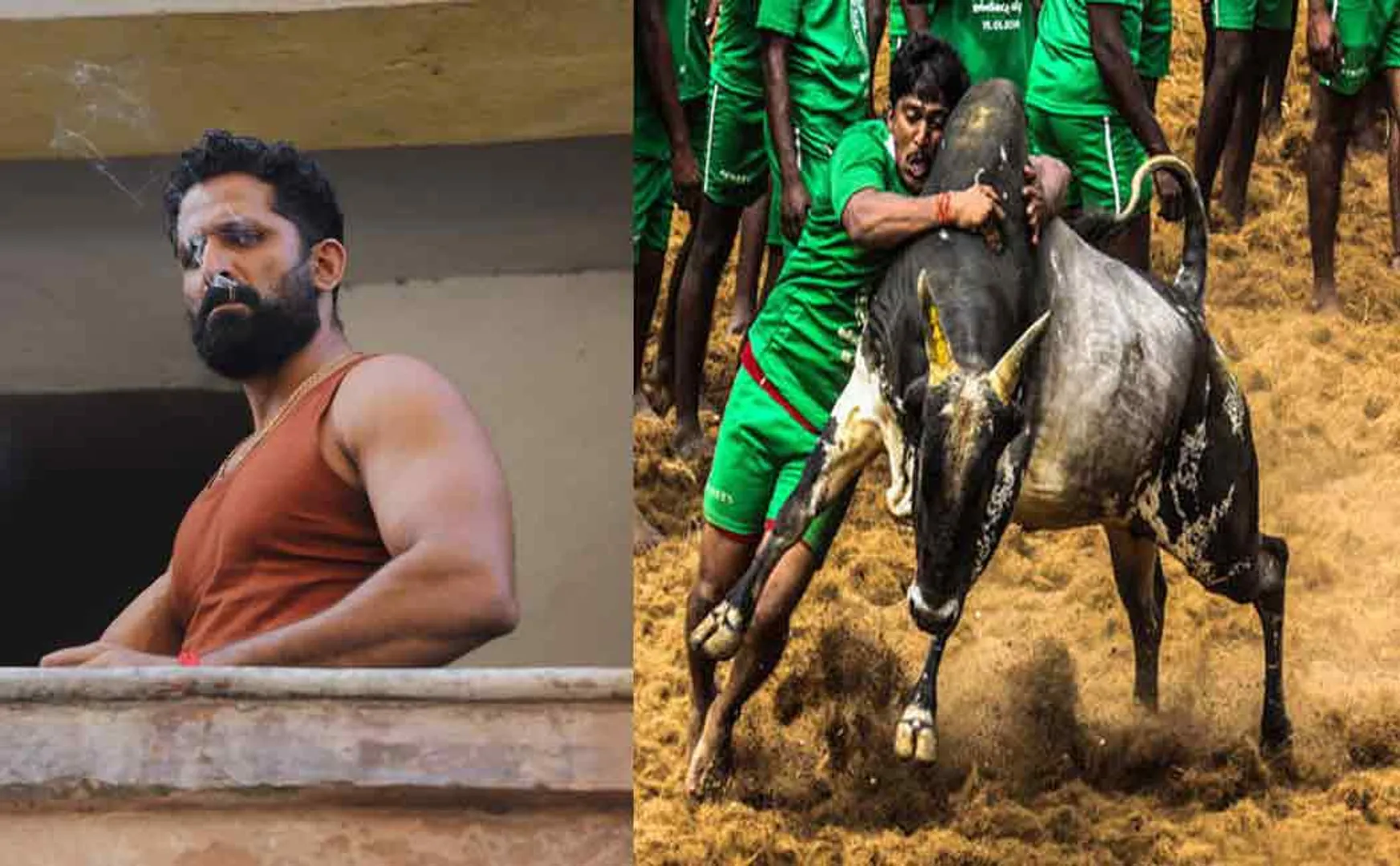 Palamedu is the villain of thunivu who saw the Jallikattu match