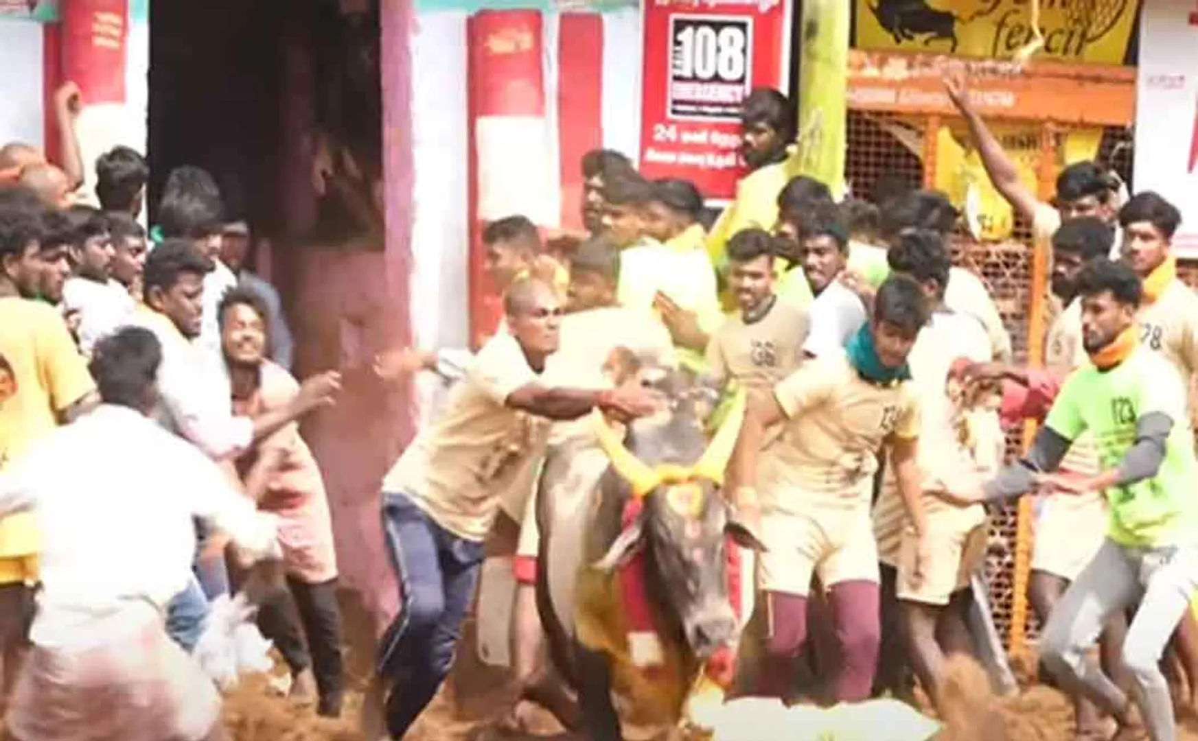 palamedu jallikkattu; 4th round