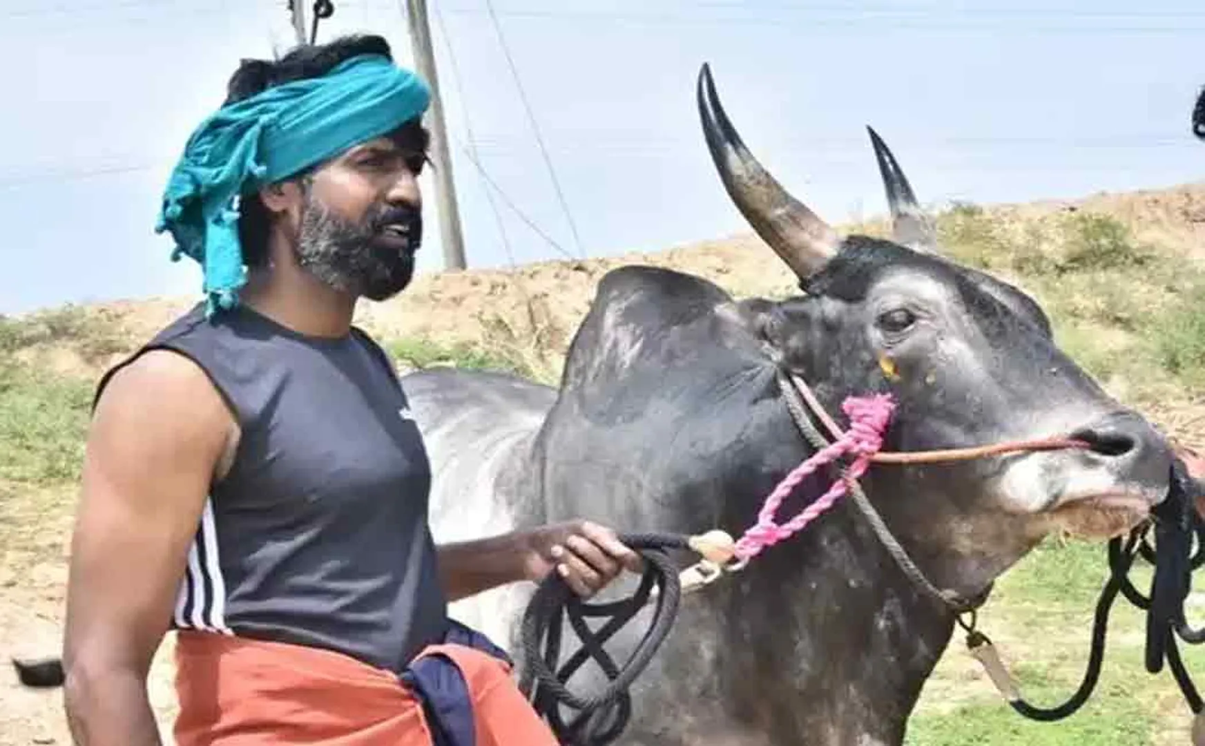 Actor Soori participates in jallikattu competition