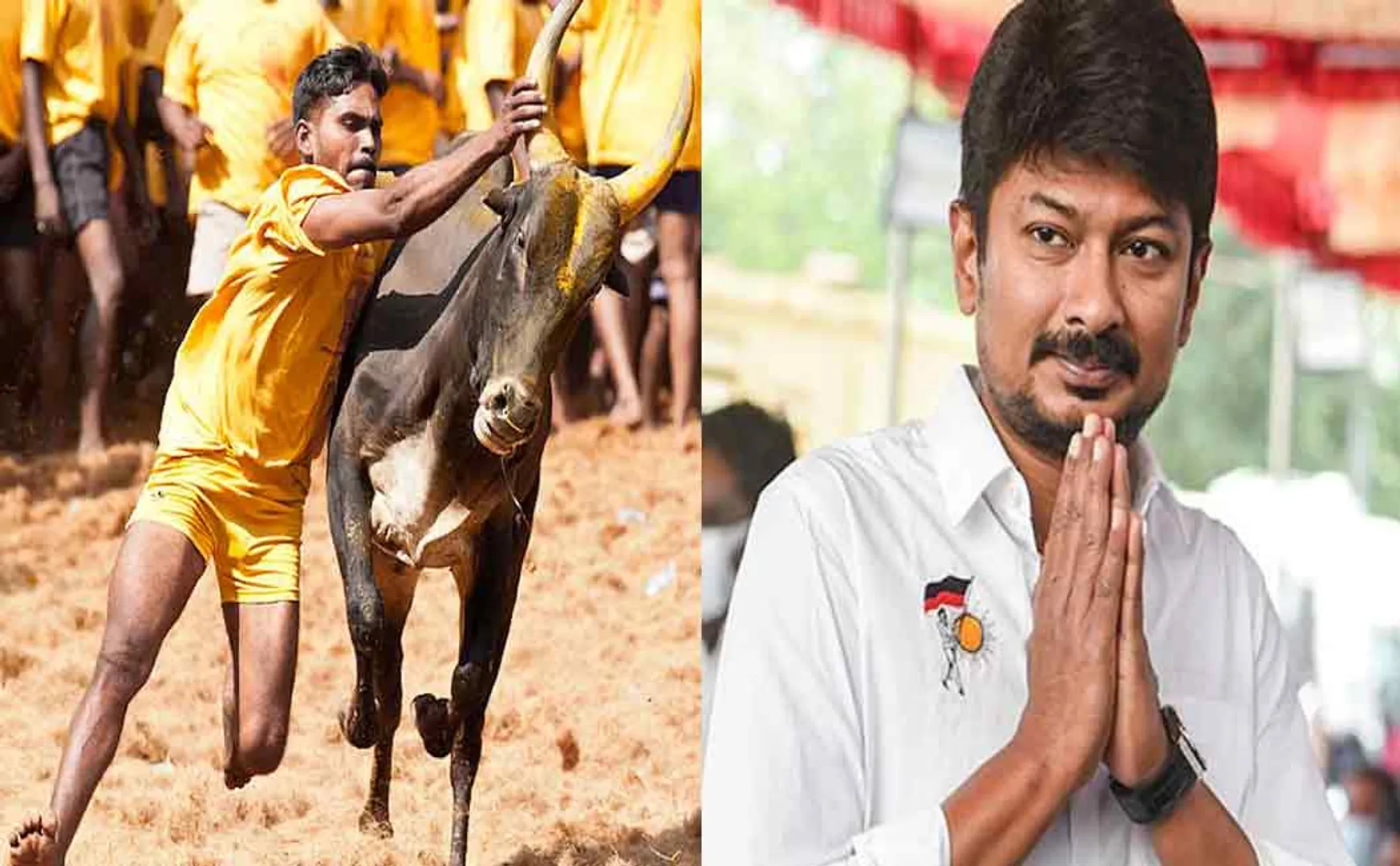 Government jobs for jallikattu players; Minister Udayanidhi's reply